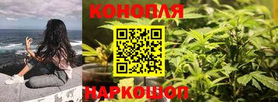 PSILOCYBIN Балахна